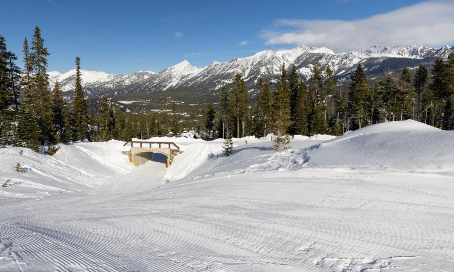 Silvertip Cabin 22 Alpine Bend Villa Big Sky Eksteriør billede